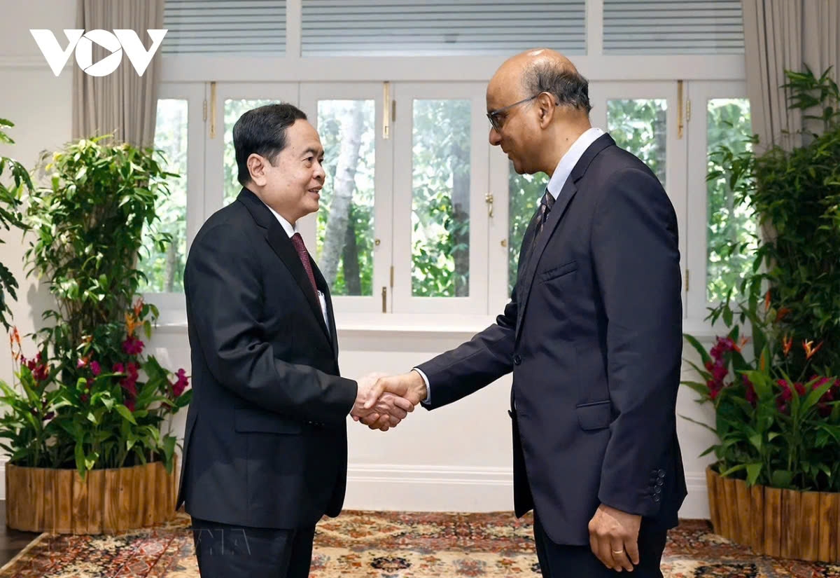 Top legislator Tran Thanh Man meets Singapore president Tharman Shanmugaratnam